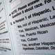 Illustration for article titled Census Adds Question Asking Participants To Identify Any Unpatriotic Neighborem/em